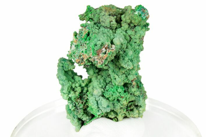 Forest Green Conichalcite Formation - Namibia #247964